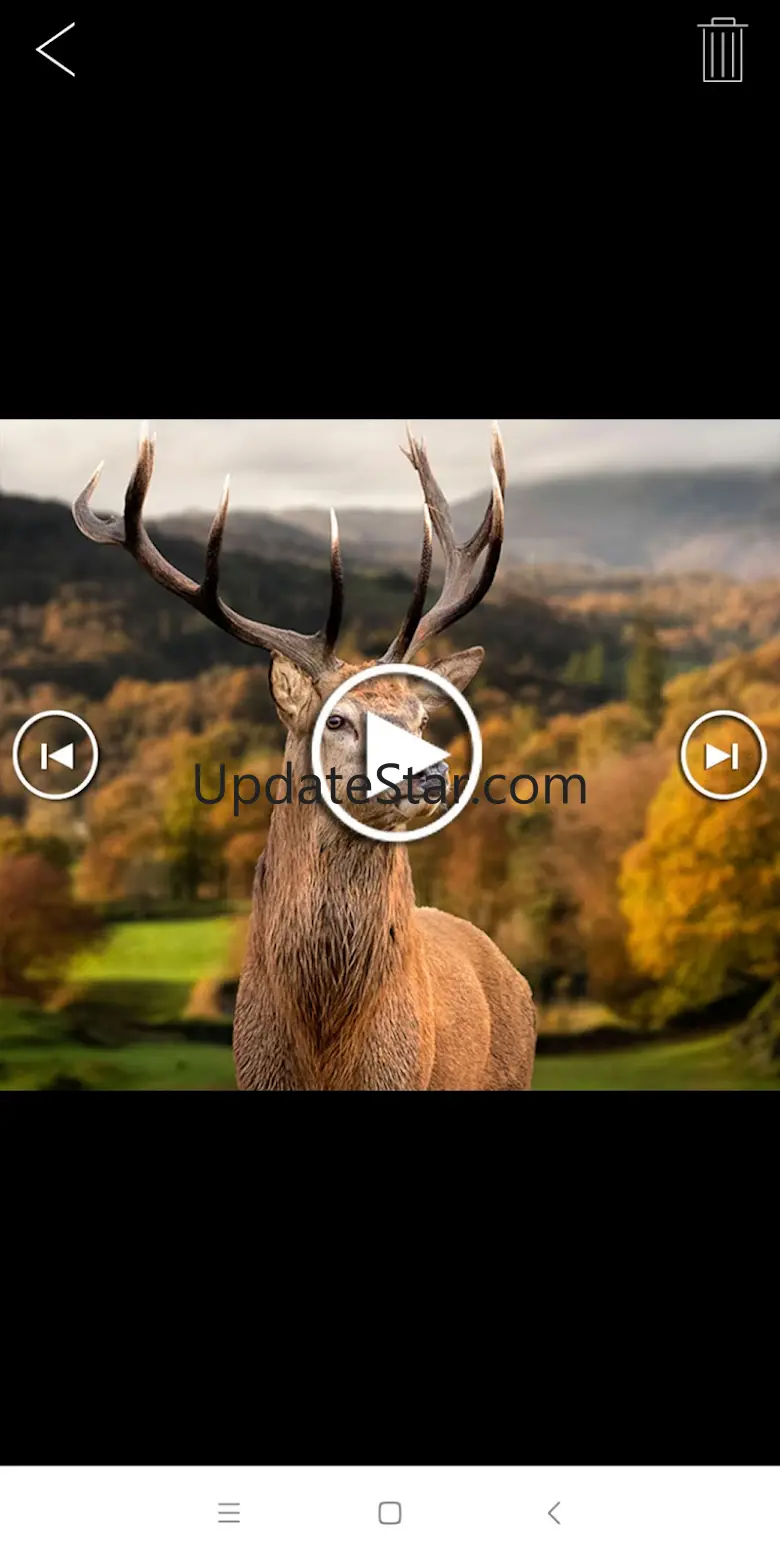 WILDLIFE CAM 1.0.3