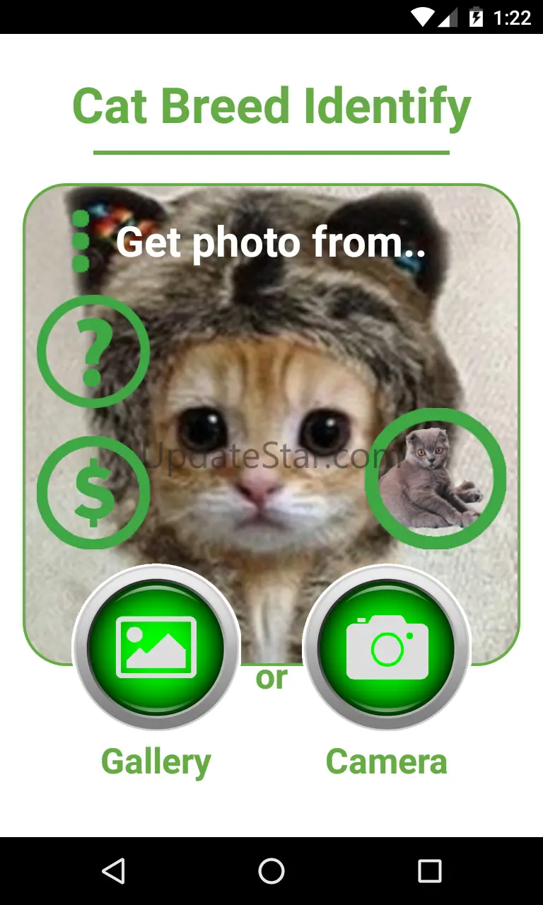 Cat Breed Auto Identify Photo 0.5.2