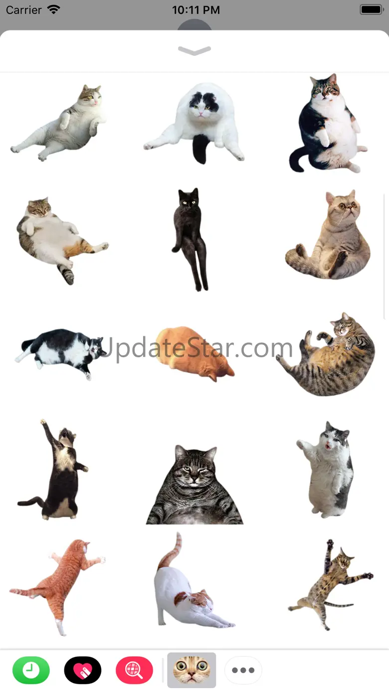 Funny Cate 2.0