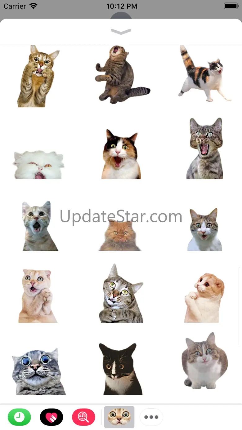 Funny Cate 2.0