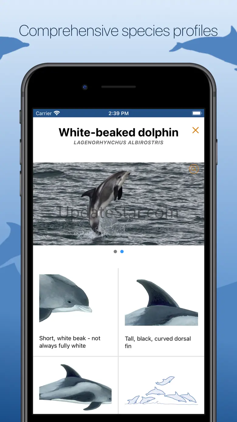 ORCA Oceanwatchers 1.4.0