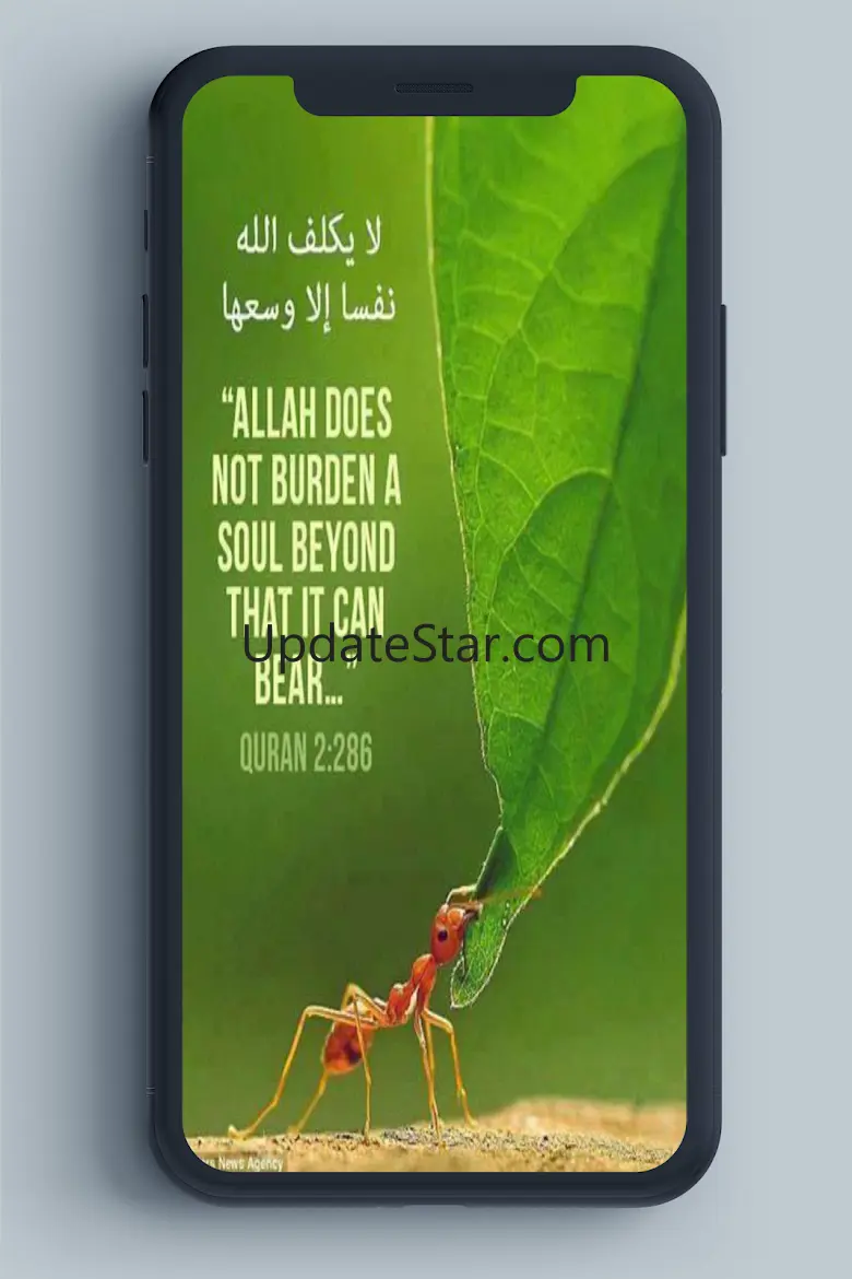 Inspirational Quran Quotes 5.2