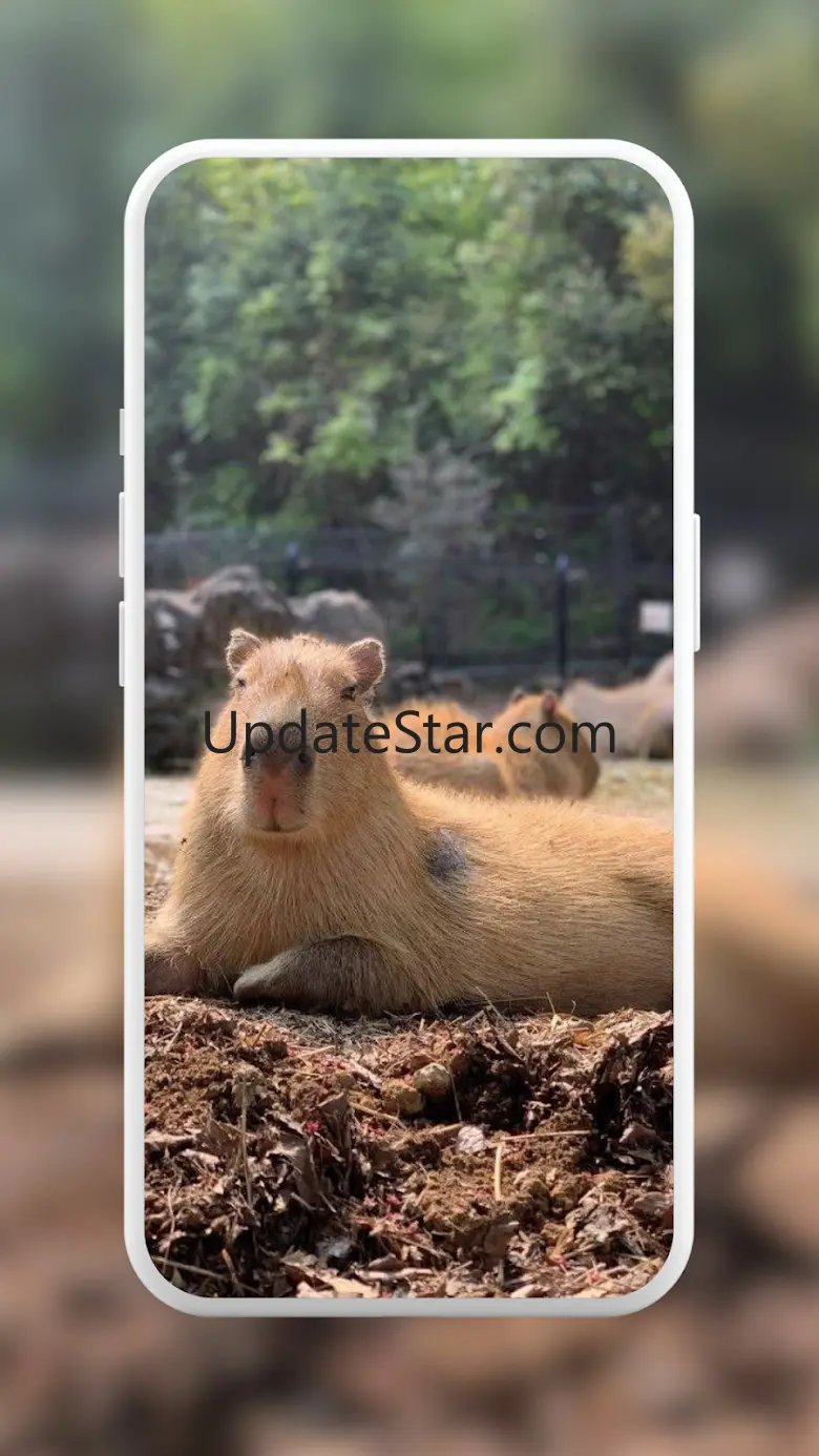 Capybara Cute Wallpaper 15.0.0
