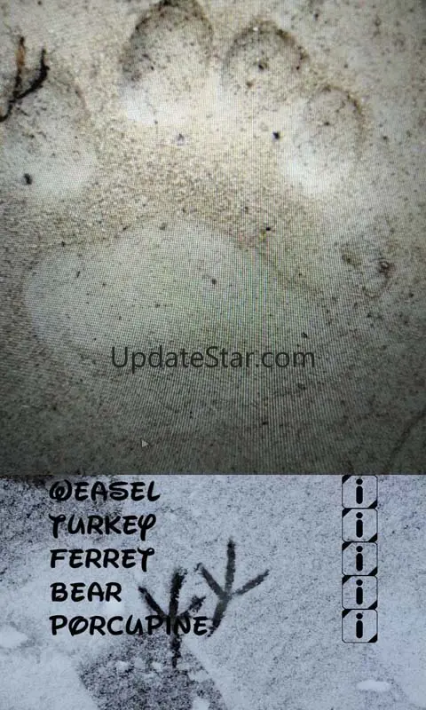 Identifier of Animal Traces 1.5