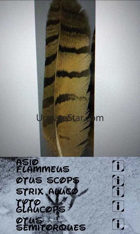 Identifier of Animal Traces 1.5