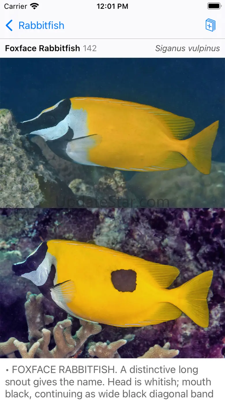 Philippines Fish ID 1.7.9