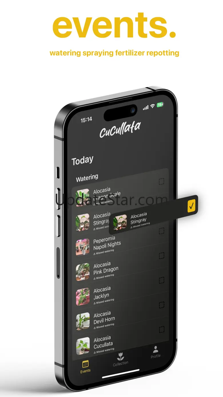 Cucullata: Plant collection 1.4.5