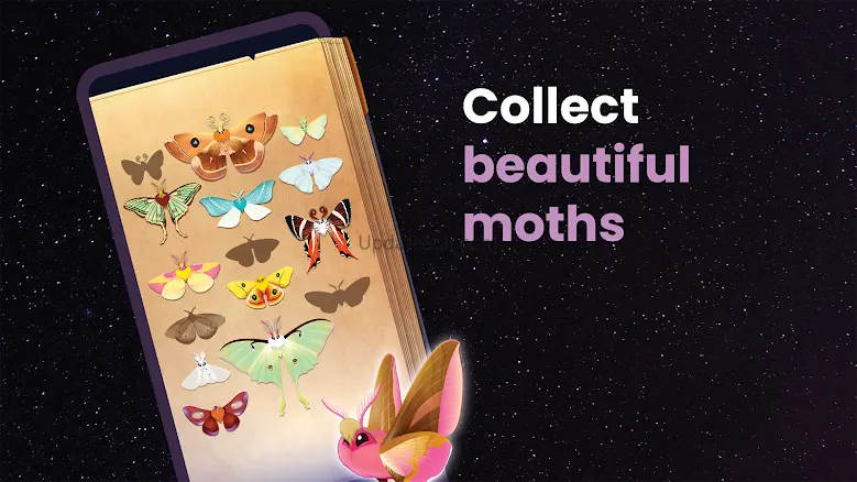 Flutter Starlight — Cozy Game 2.240