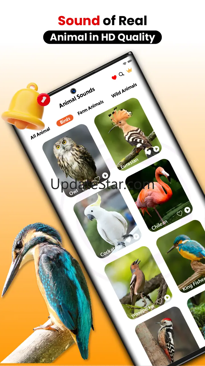 Animal Sounds and Bird Sounds