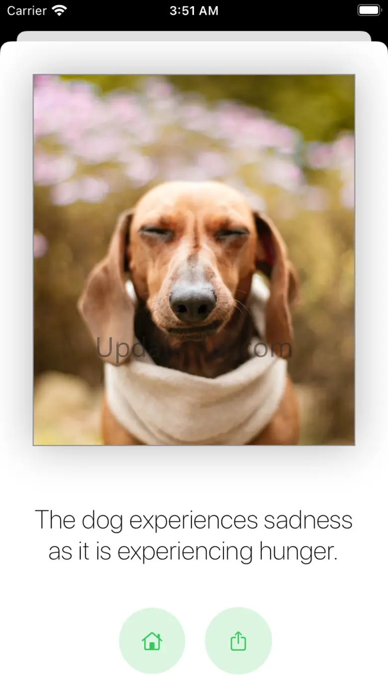 Pet Mood 3.42