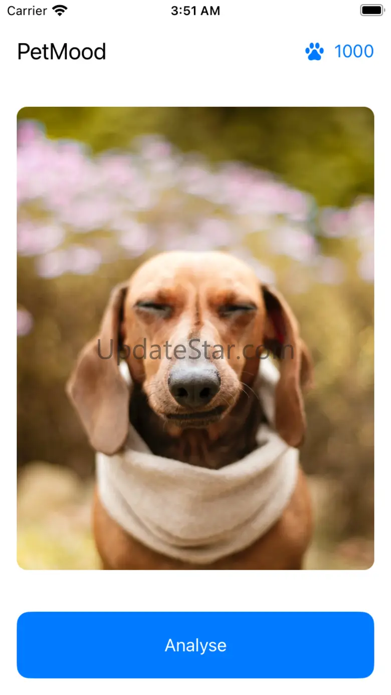 Pet Mood 3.42