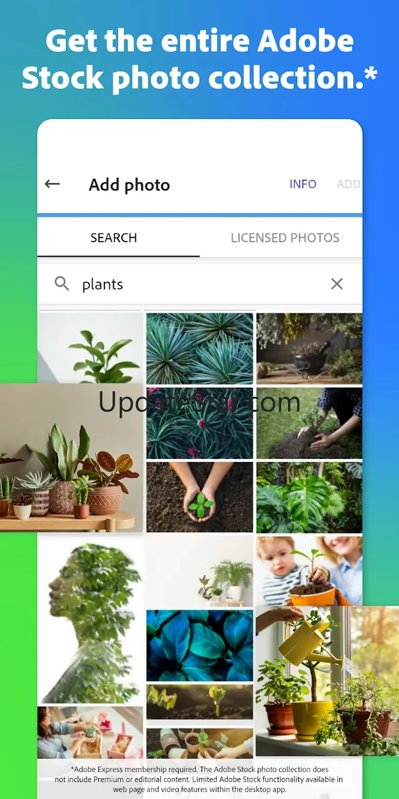 Adobe Express: AI Photo, Video 28.0.2