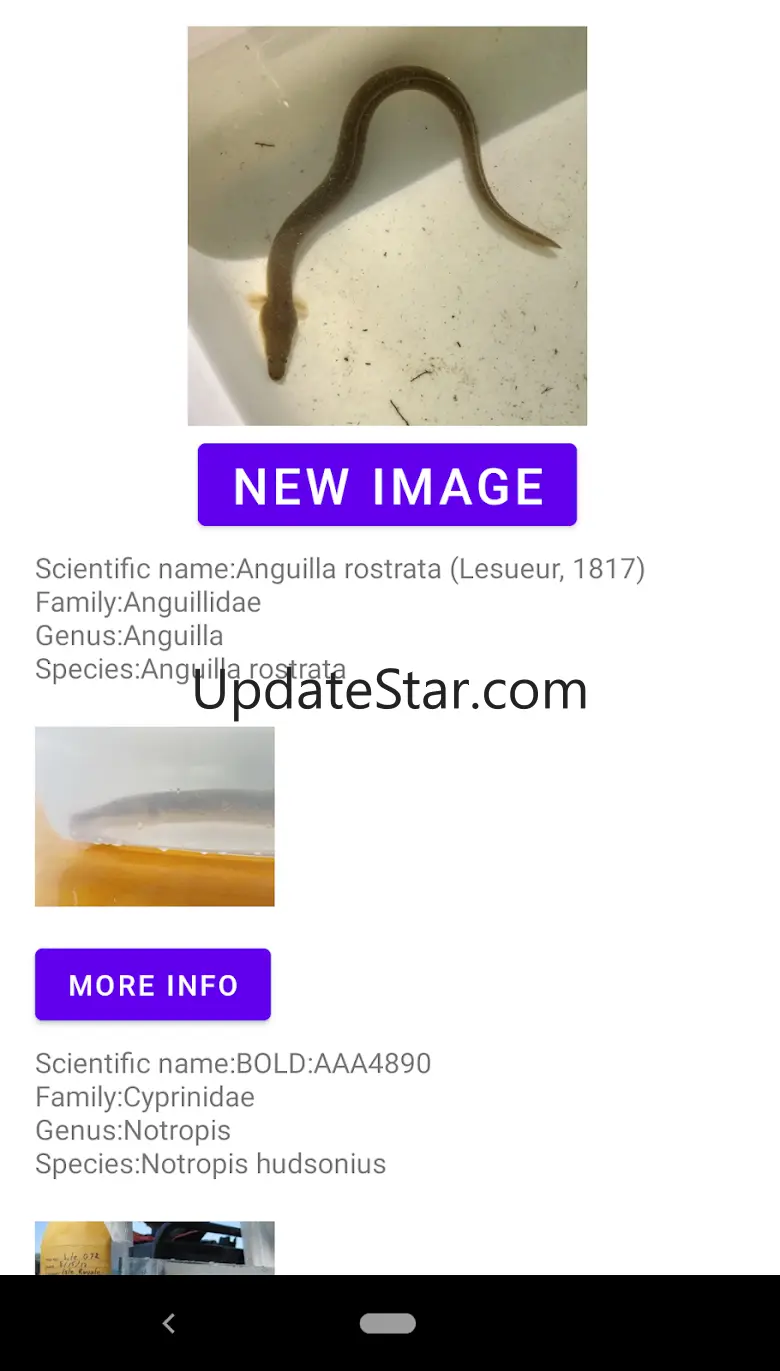 Fish identifier 6.8