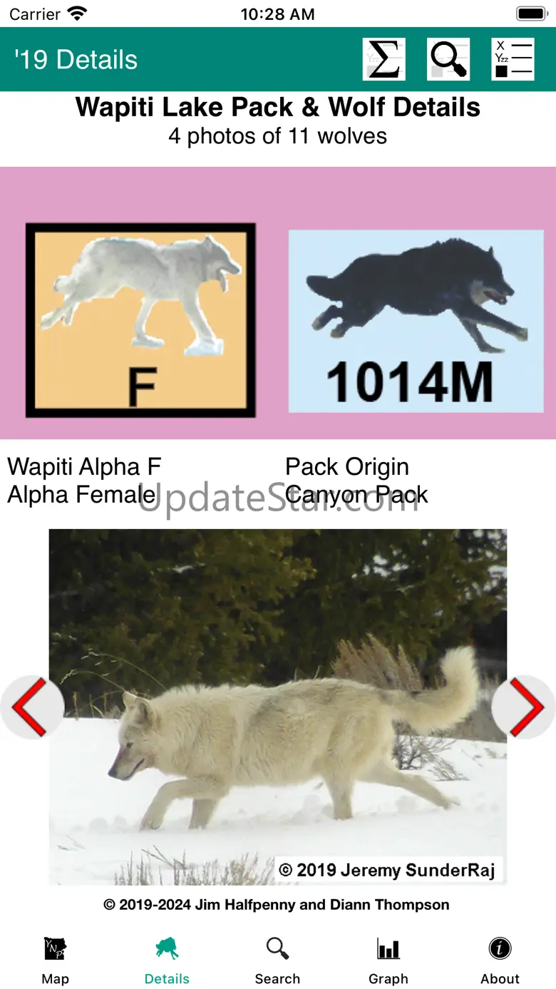 Yellowstone Wolves: The Years 1.1.3