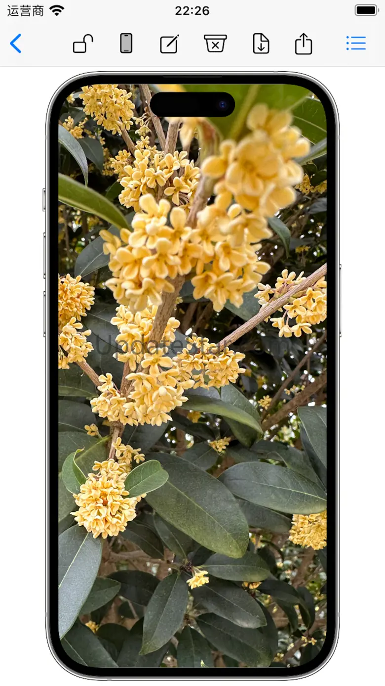 CutEdge- Add Bezels 3.7.1