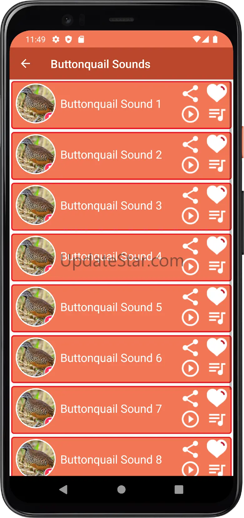 Buttonquail Sounds 1.3