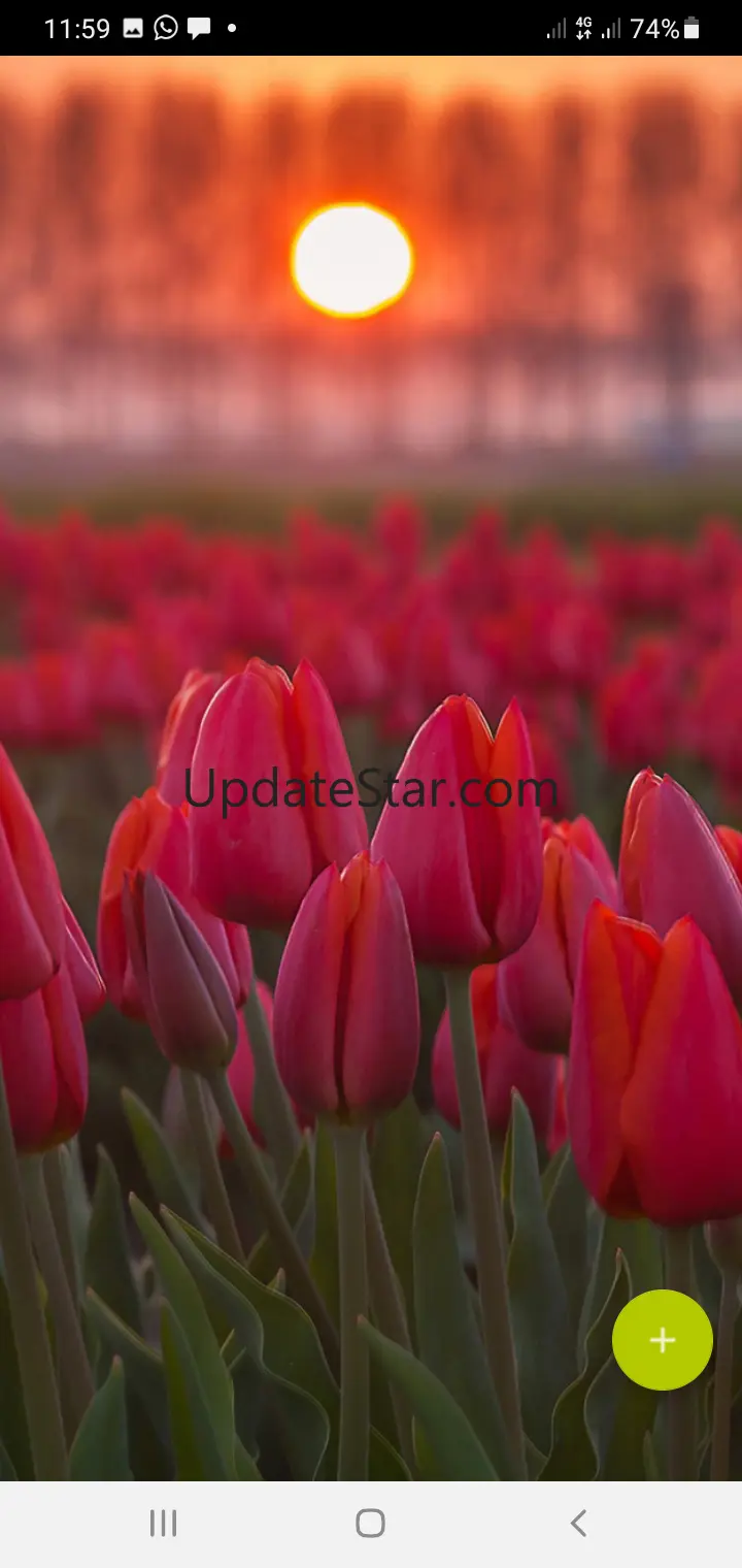 10000 Flowers Wallpapers 1.94