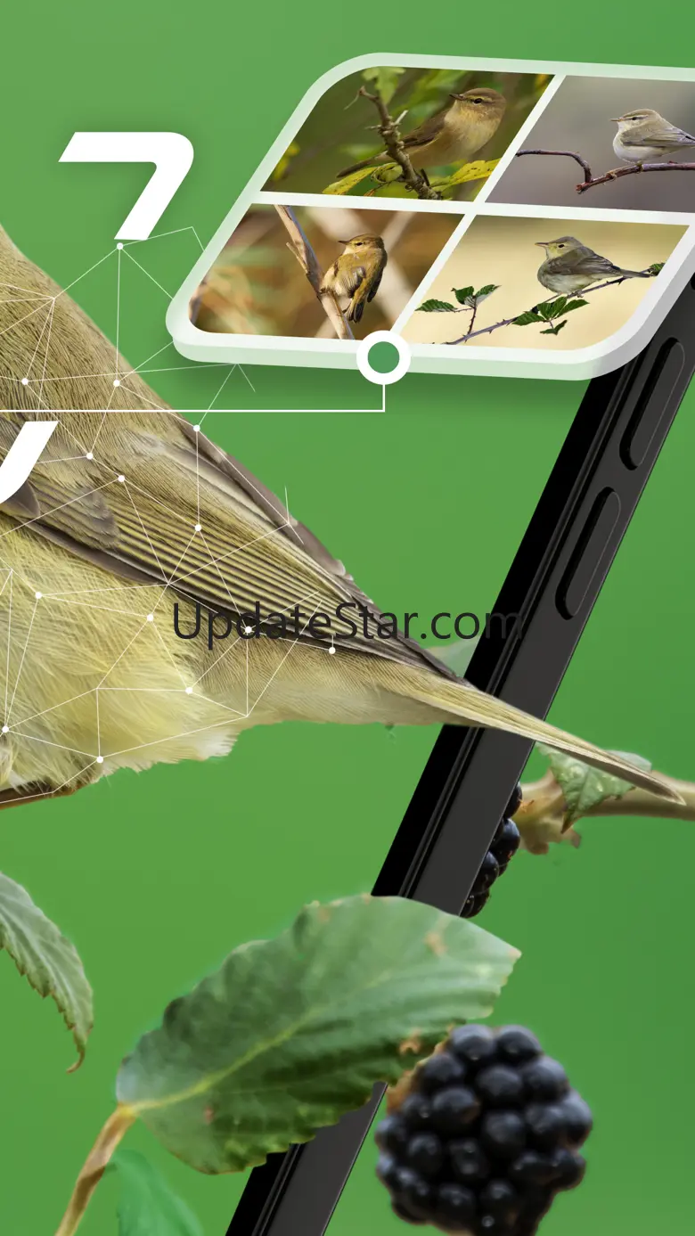Sound Bird Picture Identifier 1.8