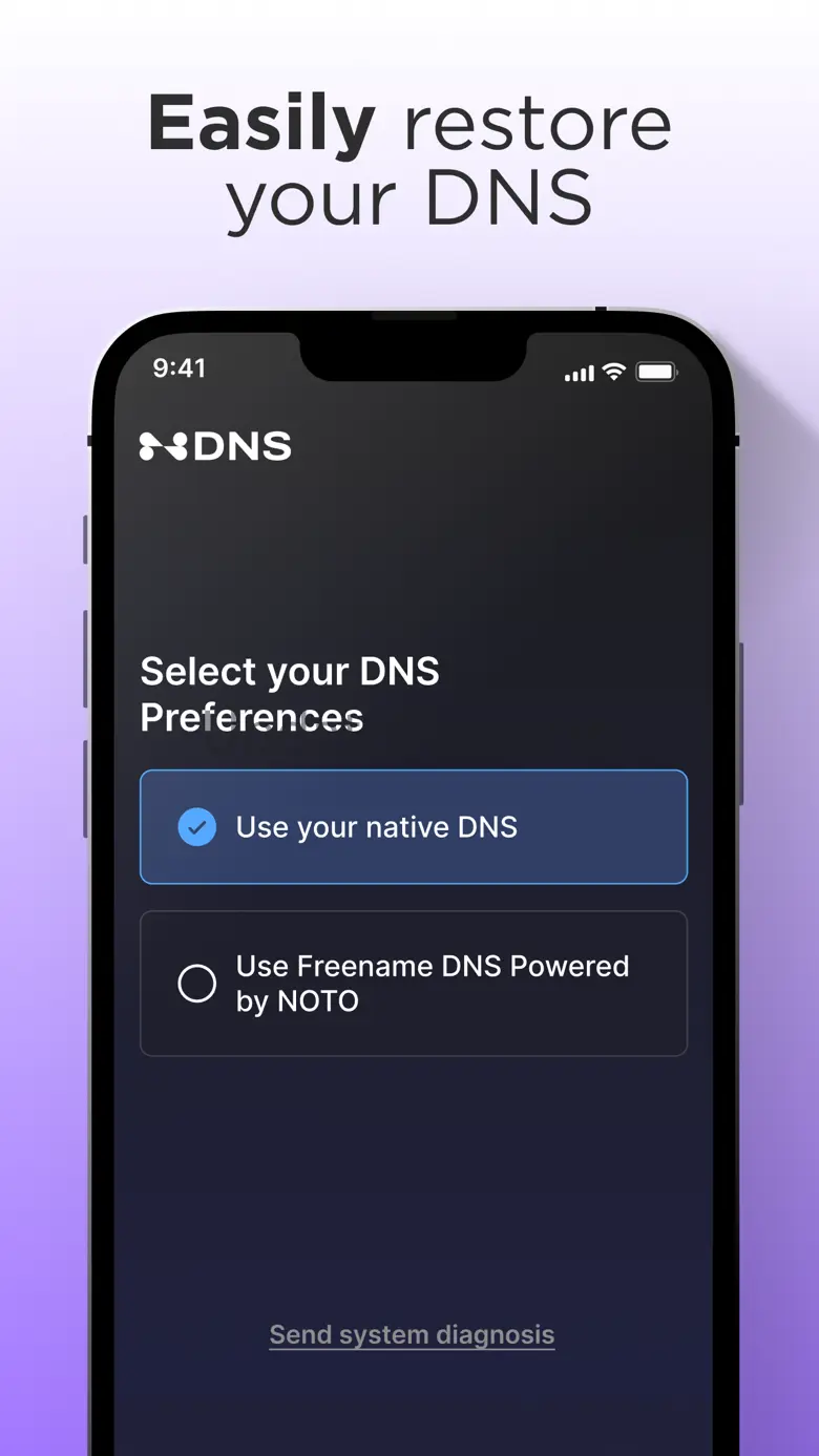 Freename DNS Installer 1.0.4