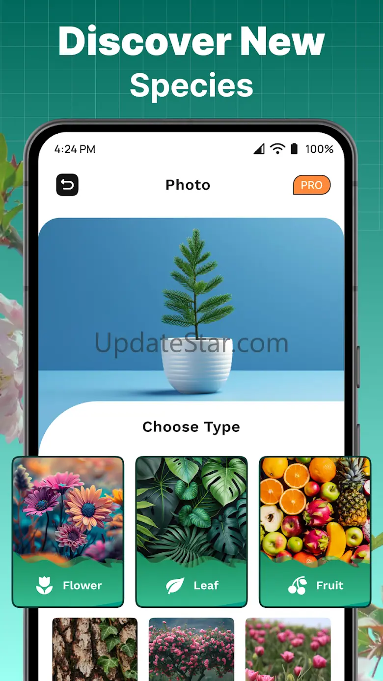 HiPlant - Ai Plant Identifier 1.1.2