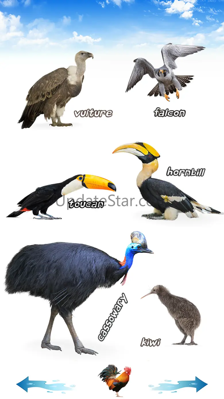 Amazing Bird Sounds 10