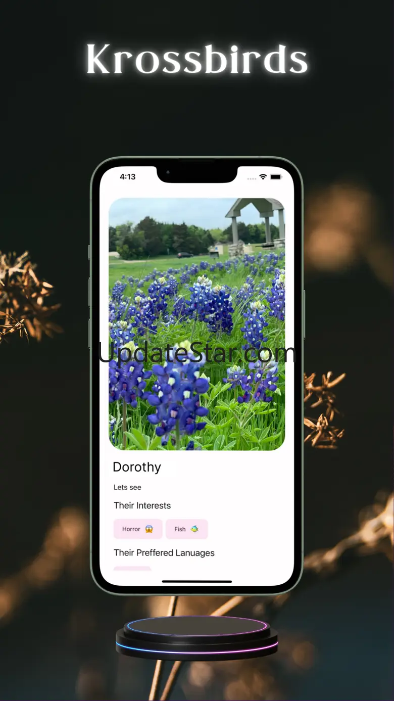 krossbirds 2.1.4