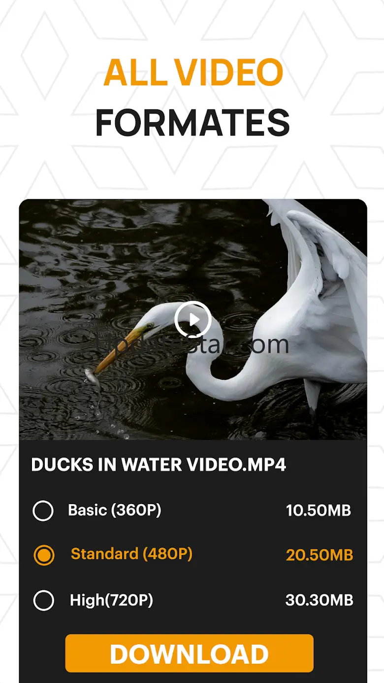 Fast Video Downloader & Player 2.5