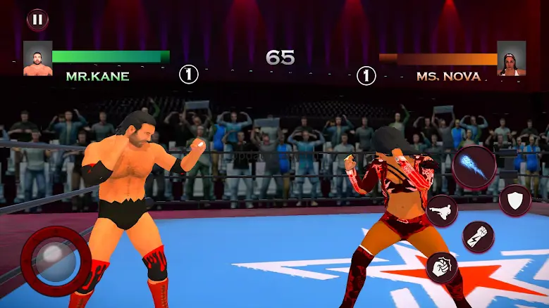 Wrestling Fighting Games 3d