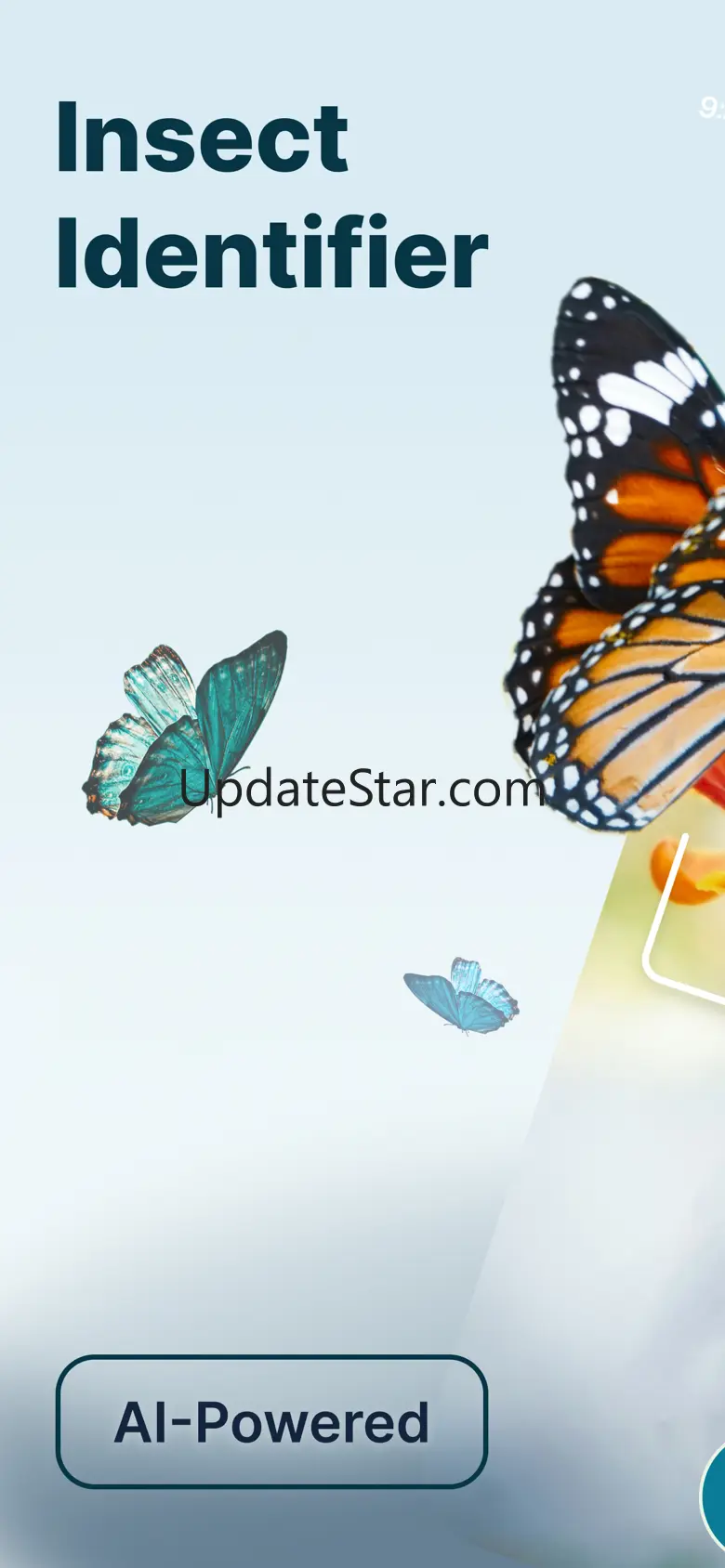 Spider & Bug Identifier AI App 1.2