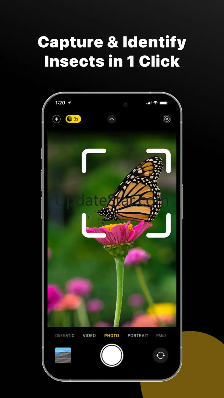 Insect & Bug Identifier: BugID 1.2