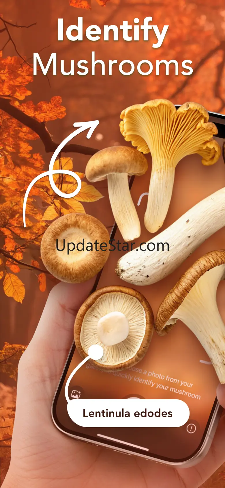 Mushroom Identifier: FungiEcho 2.0