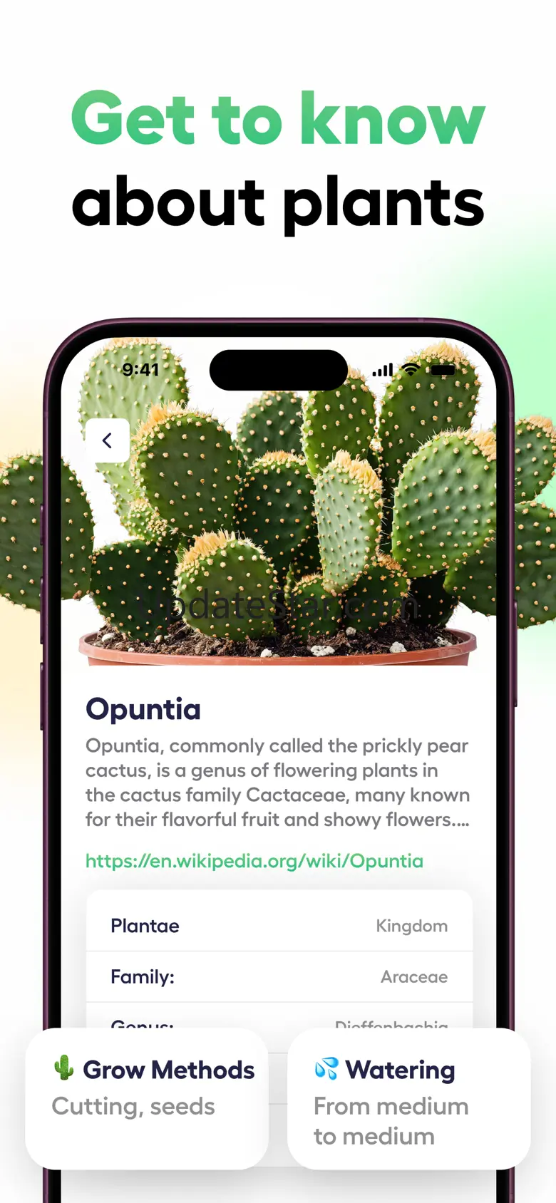 Plant Identifier - Planteo 1.0.1