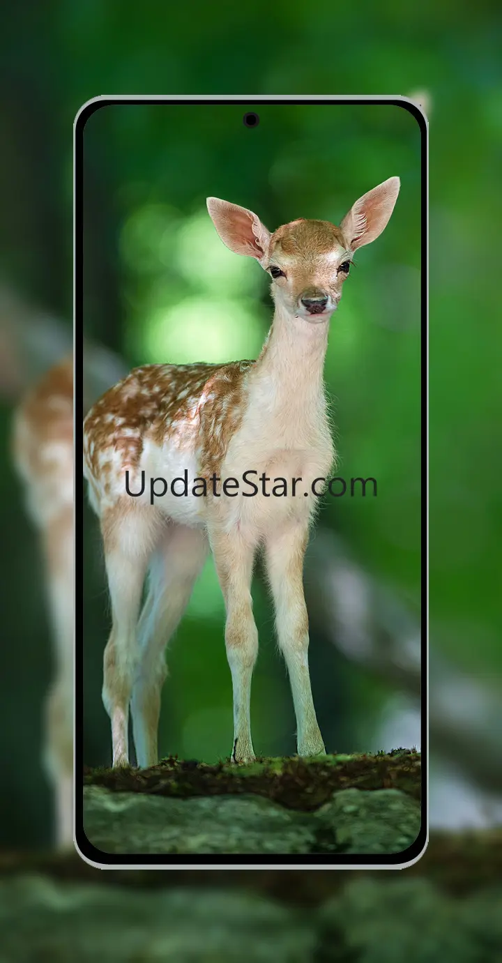 10000 Animals Wallpapers 1.94