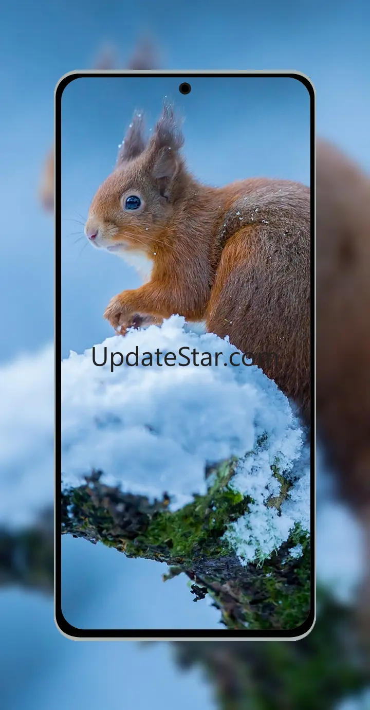 10000 Animals Wallpapers 1.94