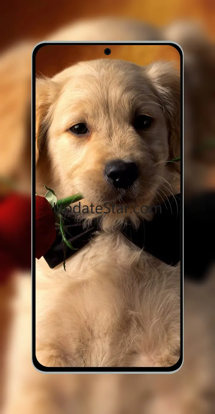 10000 Animals Wallpapers 1.94