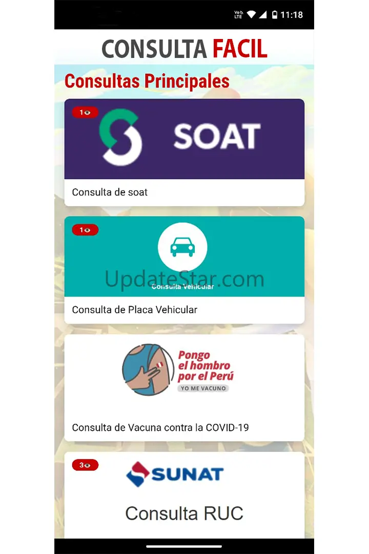 ConsultaS Facil PERU 2024 10.0