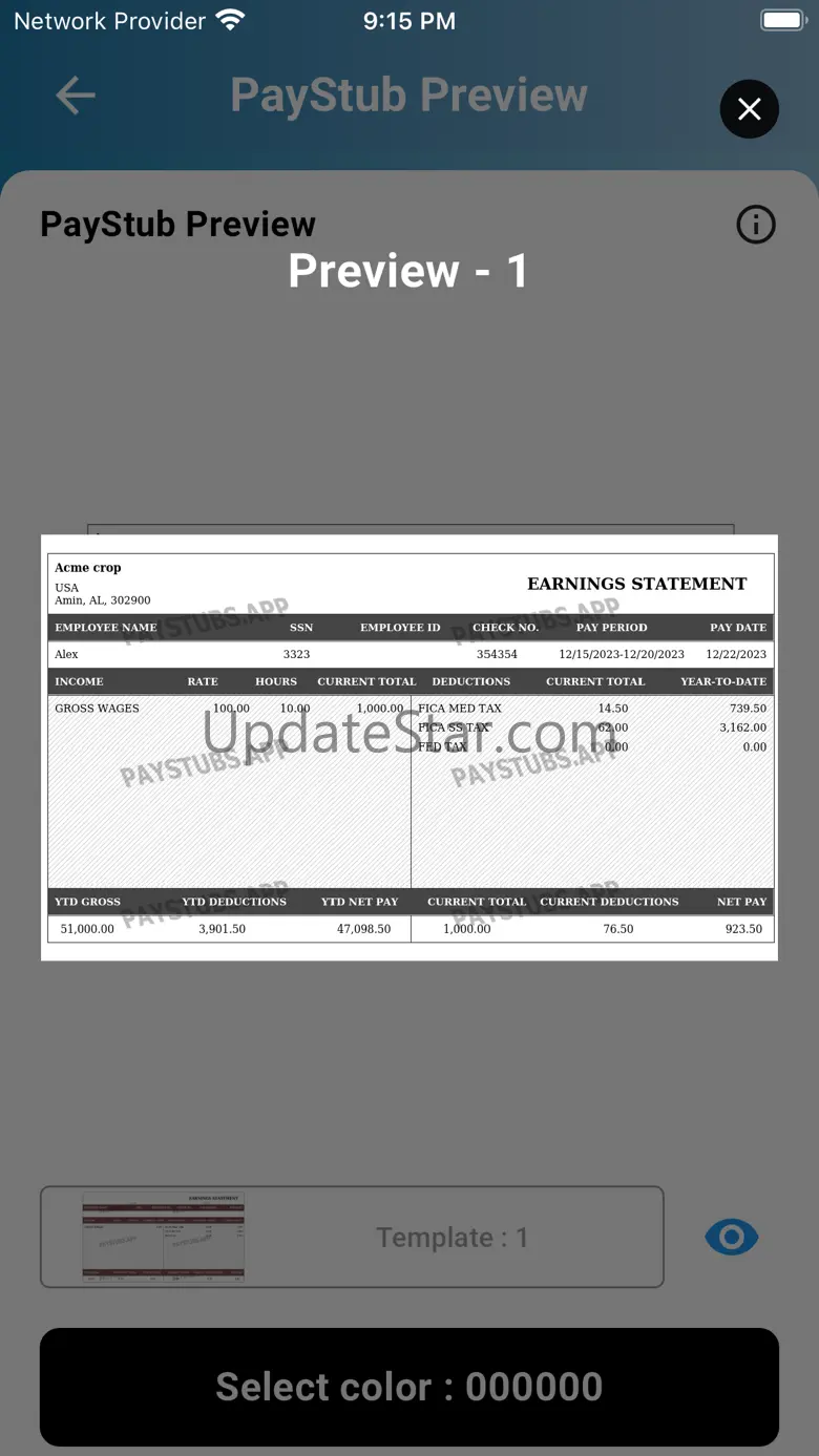 US Paystub Generator 1.0.7
