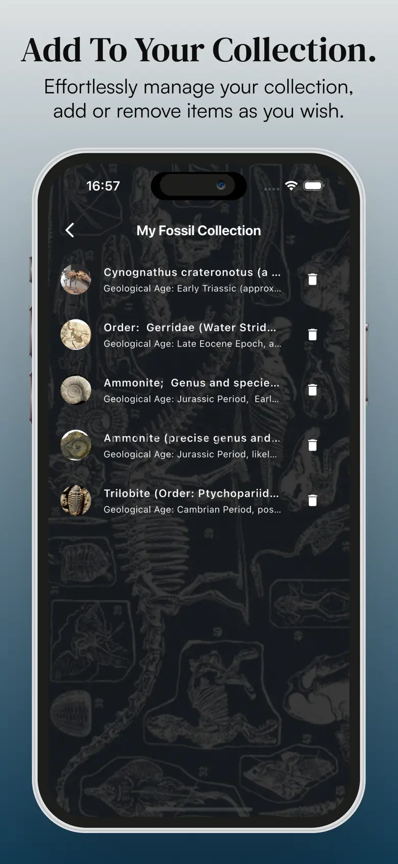 Fossil AI: Identify Fossil ID 2.0.0