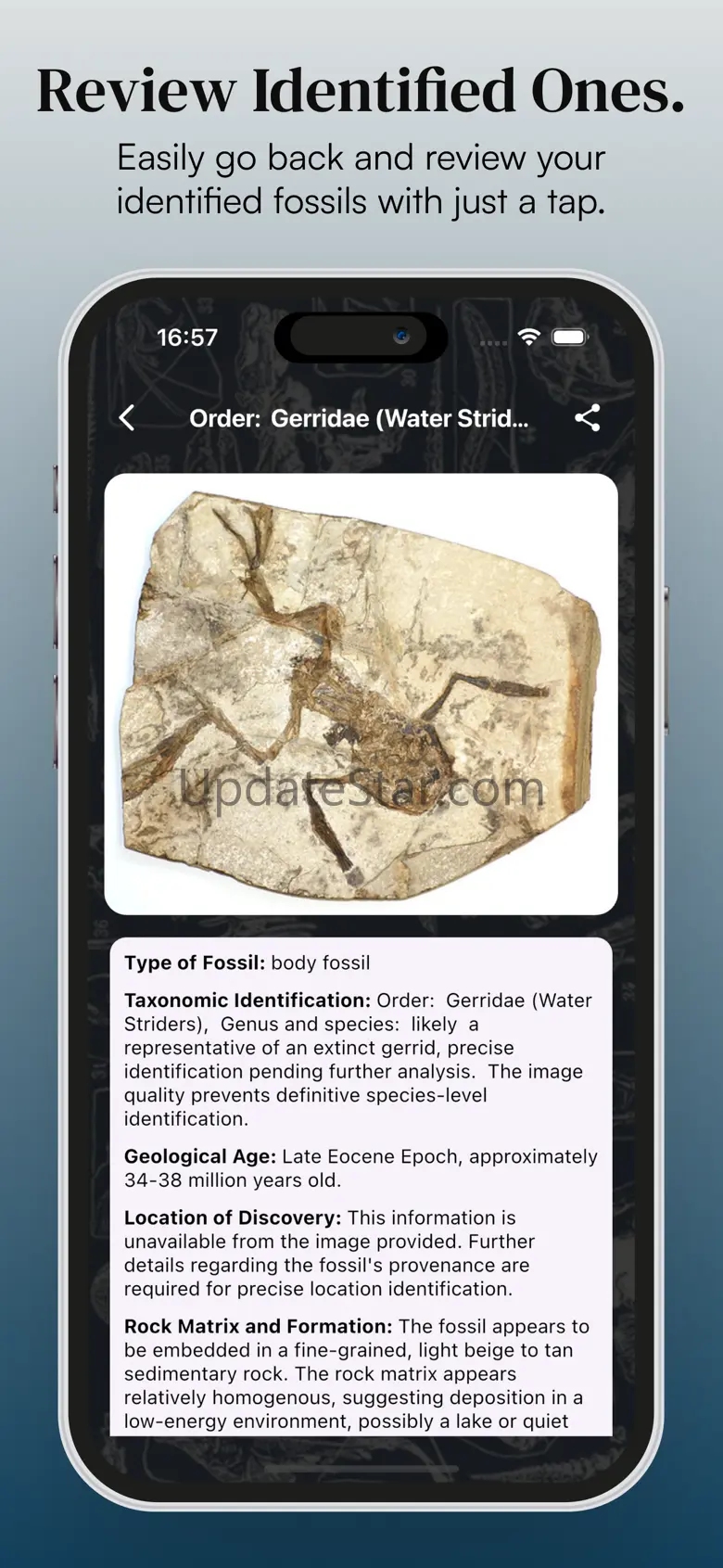 Fossil AI: Identify Fossil ID 2.0.0