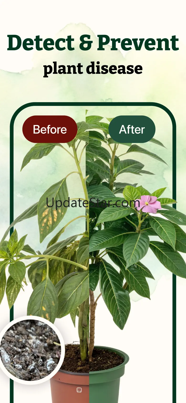 Leafy: Plant Identifier & Care 1.0