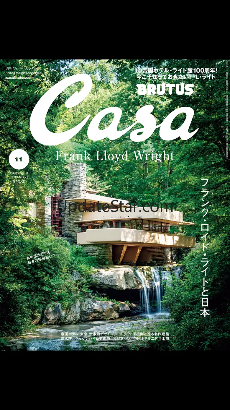 Casa BRUTUS Magazine 6.1.4