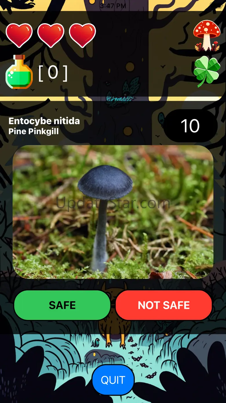 Death By Mushroom 2.0