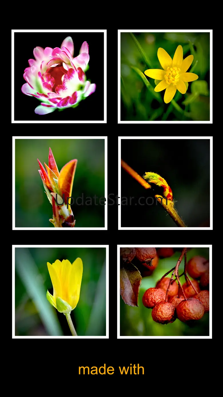 BlaX Macro Camera 4.14.0