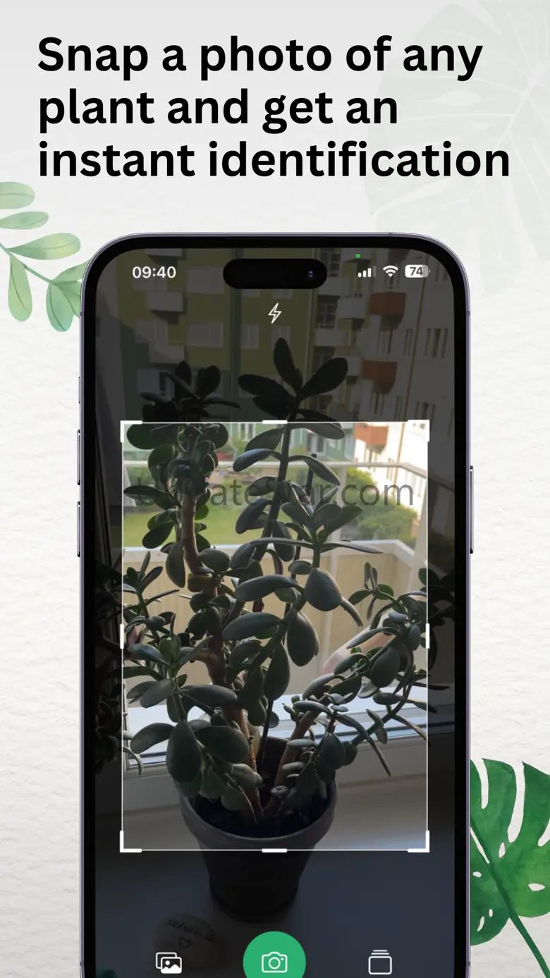 Identify Plants 1.2