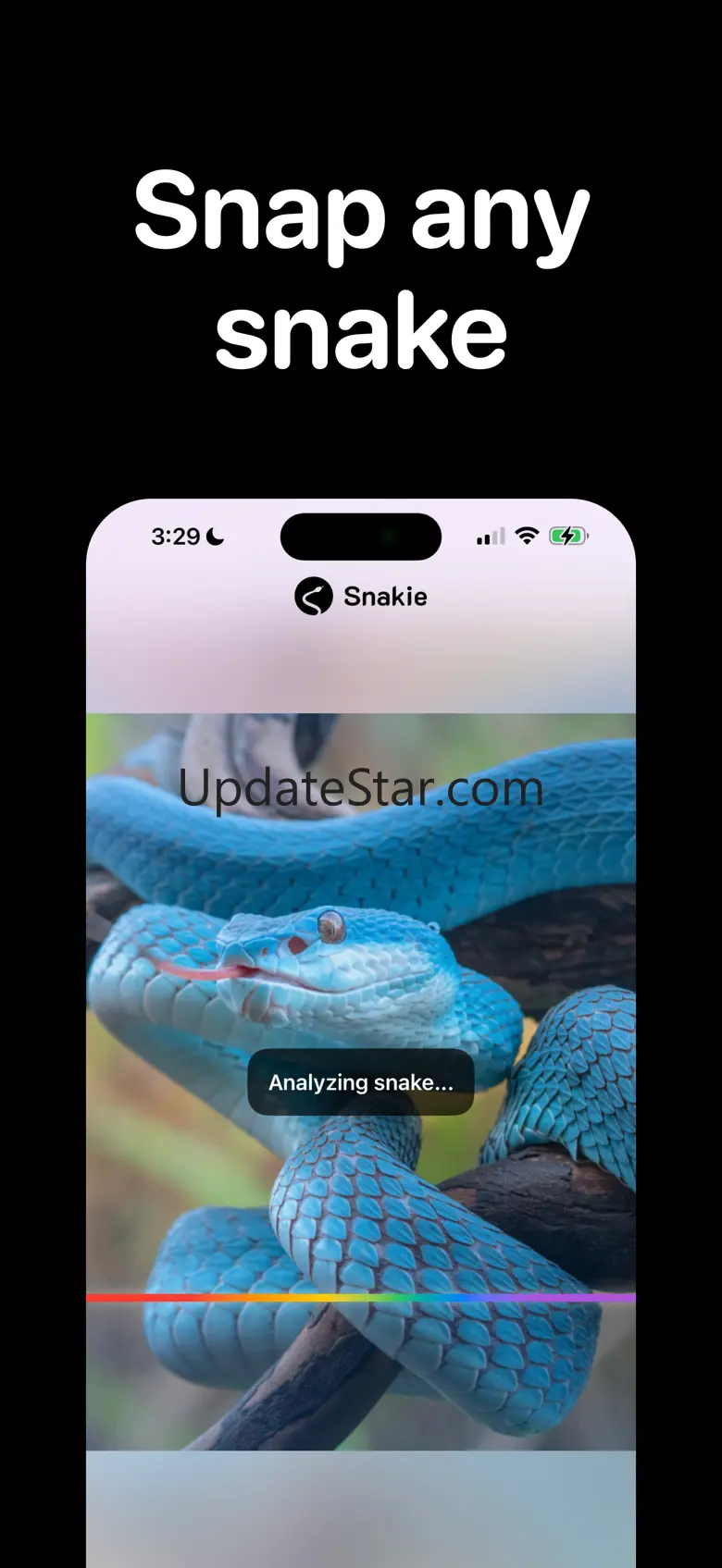 Snakie: Snake identifier 1.2