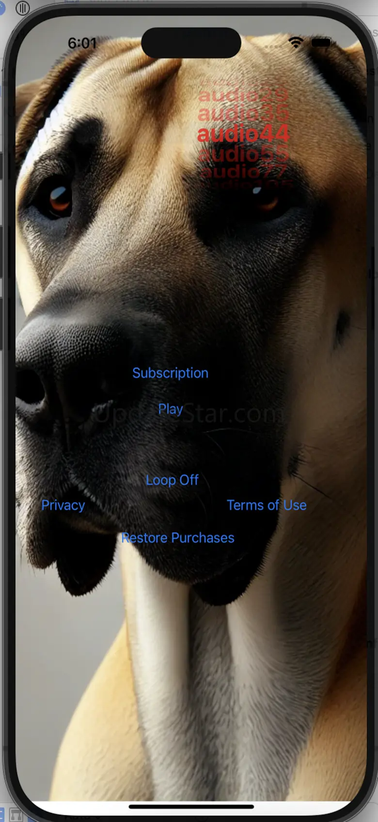 Dog Silencer 4