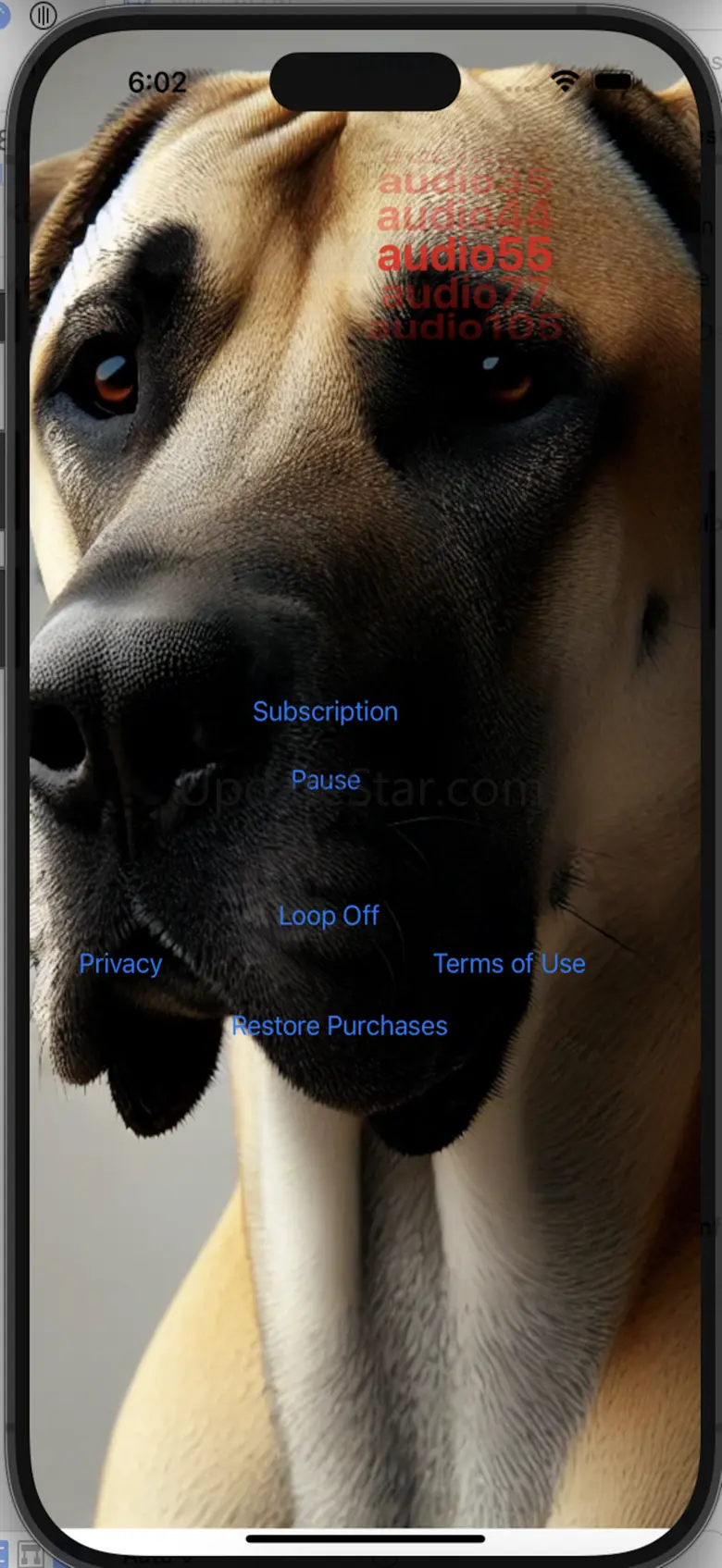 Dog Silencer 4