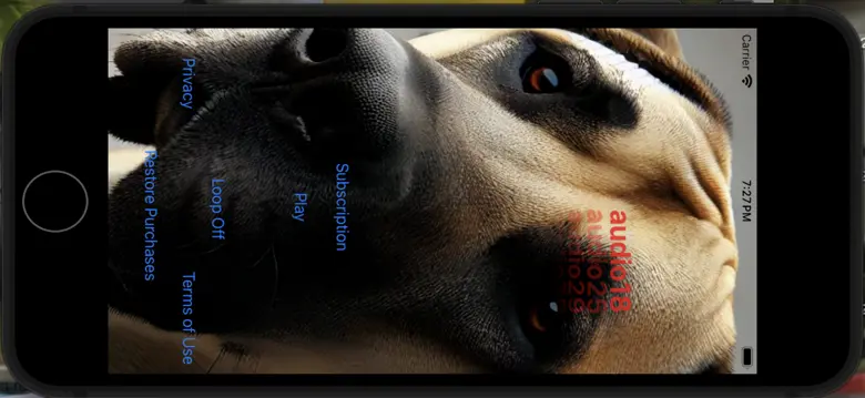 Dog Silencer 4
