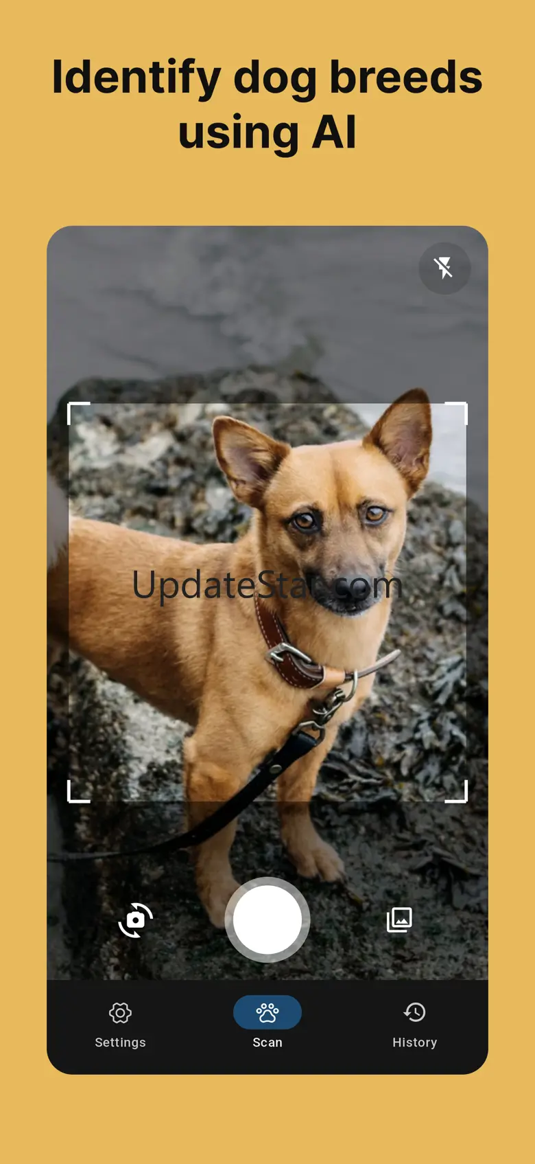 Dog Breed Identifier - DogID 1.0.6
