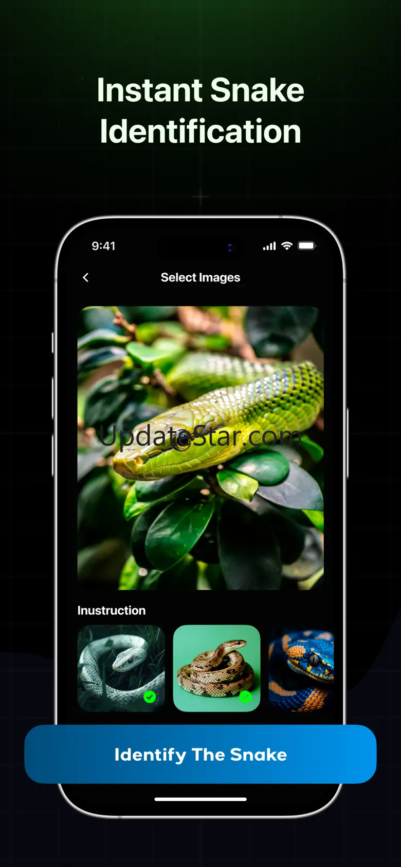 Snake Identifier: Reptile Scan 1.0